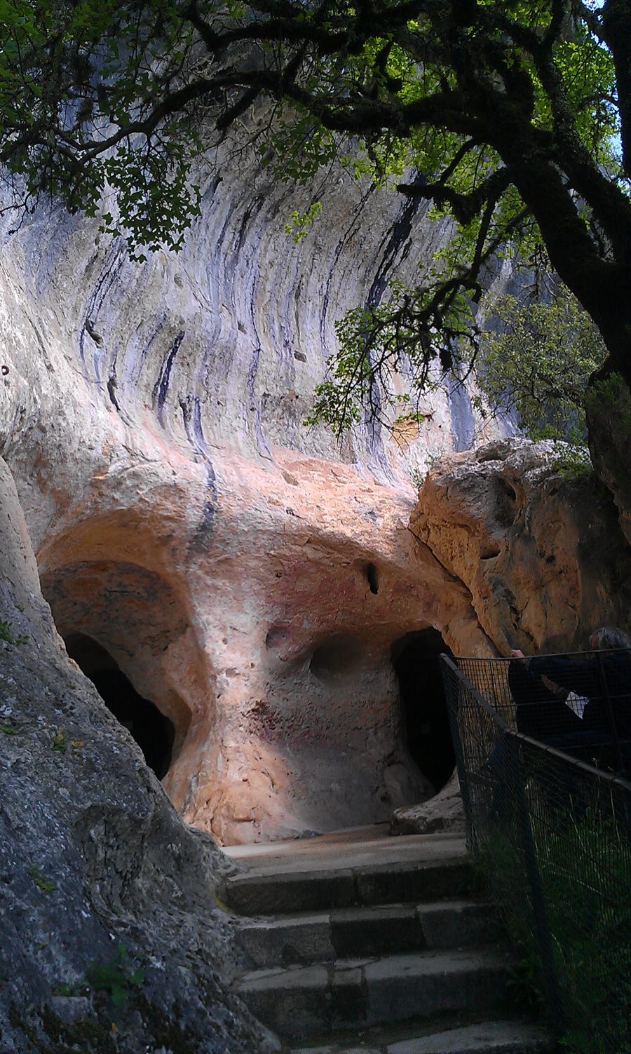 Wooded approach to the Font-de-Gaume cave entrance in the Vézère Valley.